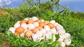 wow amazing  pick a lot of duck eggs under grass at field by hand a female farmer [upl. by Eerolam142]