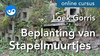 Beplanting van Stapelmuurtjes [upl. by Damalus]