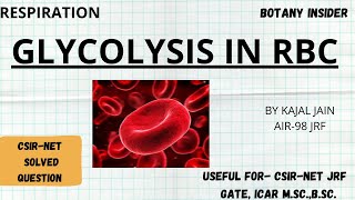 Glycolysis in Erythrocytes  RBC  Regulation of Glycolysis  PYQ Included  CSIRNET JRF  GATE [upl. by Vincent]