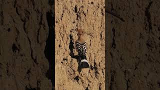 The Eurasian hoopoe bird bringing food to the nest Upupa epops shortvideo birds hoopoe [upl. by Refotsirk582]