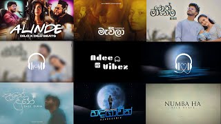 Dilu Beats Best Song Collection  Sinhala Songs 💯🎧  Adee Vibez [upl. by Llenrag]