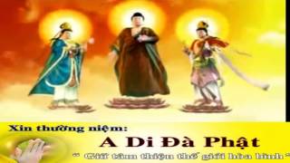 Nhạc Niệm PHật Nam Mô Bổn Sư Thích Ca Mâu Ni PHậtA Di Đà PHật Quán Thế Âm Bồ Tát Tổng Hợp [upl. by Alexander475]