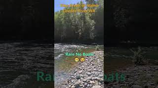 Alive On Island  Blue Creek Cowlitz River [upl. by Rolyt]