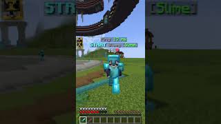 Clipping Bluey minecraft [upl. by Hogan986]