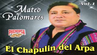 MATEO PALOMARES ♬EL CHAPULIN DEL ARPA  PRIMEROS ÉXITOS 01® [upl. by Nylteak475]