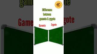 Difference between gamete and zygote shorts shortvideo youtubeshorts shortfeed [upl. by Kayla972]