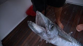 Deep Sea Fishing for Smoker Kingfish in Key West Florida Keys [upl. by Folly]