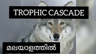 Trophic Cascade Poem in Malayalam  Second Sem  Kannur University [upl. by Ydorb]