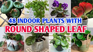 48 Indoor Round Shaped Leaf Houseplants  Indoor Round Leaf Plants  Plant and Planting [upl. by Peyton]