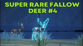 Super Rare Fallow Deer 4 Call of the Wild theHunter [upl. by Alien]