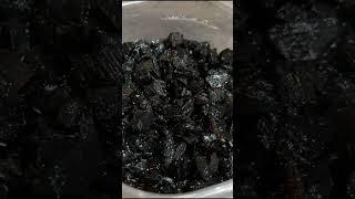 How To Breed Springtails  Endless Supply shorts reptiles springtails [upl. by Vey]