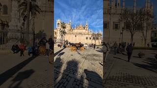 The Palace of Seville the Alcázar of Seville is known for its stunning architecture and gardens [upl. by Naves559]