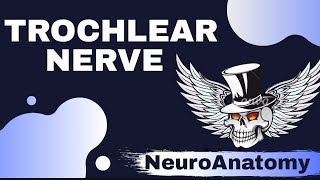 Trochlear Nerve [upl. by Anelat]