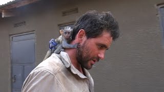 Baby Vervet Monkey Rescued from African Brush Fire [upl. by Michaella]