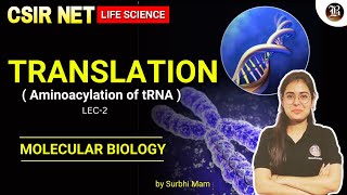 Translation Aminoacylation of tRNALec02Molecular BiologyCSIR NET Life science Bansal Academy [upl. by Mutua]