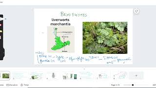 BRYOPHYTES LIVERWORTS AND MOSSES neet [upl. by Lede893]