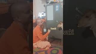 Gau seva bvg kutamshortvideo sanatan [upl. by Sax]