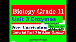 New Curriculum Biology Grade 11 Unit 3 Enzyme Tutorial Part 3 in Afan Oromo [upl. by Elbam]