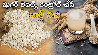 షుగర్ లెవల్స్ కంట్రోల్ చేసే బార్లీ నీళ్లు barley Water Benefits  Barley Water Recipe [upl. by Noda]