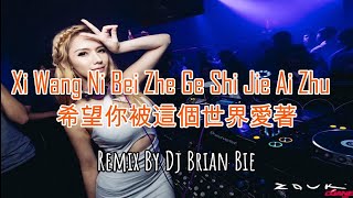 Xi Wang Ni Bei Zhe Ge Shi Jie Ai Zhu  希望你被這個世界愛著 Electro Manyao By Dj Brian Bie dj抖音版2024 [upl. by Nahtahoj305]