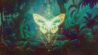 🦋THE BUTTERFLY EFFECT ⁂ Elevate your Vibration ⁂ Positive Aura Cleanse ⁂ 432Hz Music [upl. by Anehsak215]