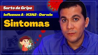 GRIPE H3N2 │SINTOMAS E GRUPO DE RISCO [upl. by Maurreen]