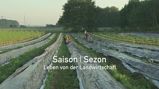 Saison  Sezon Leben von der Landwirtschaft [upl. by Eilla]