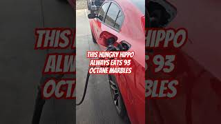 Are SRT Hellcat Hungry Hippos comedy hellcat srt pov [upl. by Varin]