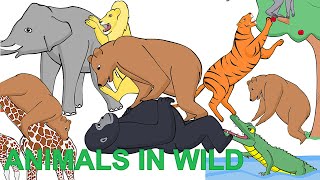 Wild Animals in Forest  Short Cartoon Film for Kids [upl. by Alvita]