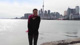 Meteor hits CN tower real or fake [upl. by Colwin266]