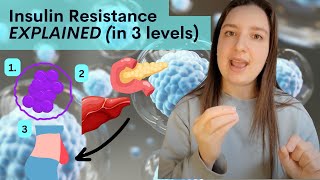 Insulin Resistance EXPLAINED 3 Levels [upl. by Eceirahs]