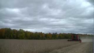 Case IH 5088 Harvesting Soybeans [upl. by Revkah]