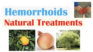 How To Treat Hemorrhoids  9 Natural Treatments Plant Flavonoids for Hemorrhoidal Disease [upl. by Ahsirahc221]