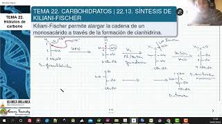 TEMA 22 CARBOHIDRATOS  2213 SÍNTESIS DE KILIANI  FISCHER [upl. by Lucienne]