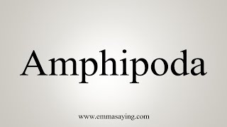 How To Say Amphipoda [upl. by Elyrrad441]