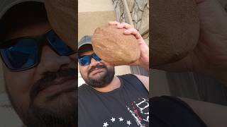 అమెరికాలో 15 kg Sapota Mamey sapote in USA అంత తియ్యగా అయితే ఏమీలేదు sweet potato taste undi [upl. by Yremrej]