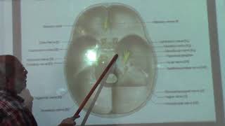 Neuroanatomy 101  Dural folds amp dural venous sinuses  part 2   by Dr Wahdan [upl. by Brent]