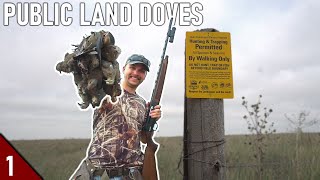 28 GAUGE Dove Hunt on a DRY Pond  OPENING DAY Dove Hunting 2021 [upl. by Aneekal]