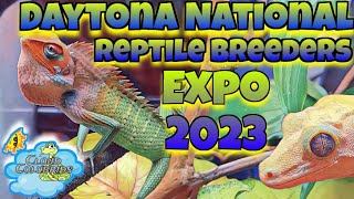 Daytona National Reptile Breeders Expo 2023 [upl. by Cinimod703]