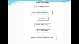 Pituitary Lecture 01  Acromegaly [upl. by Mad]