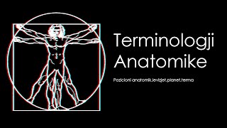 Terminologji AnatomikeAnatomia ShqipTerma [upl. by Ahsinirt]