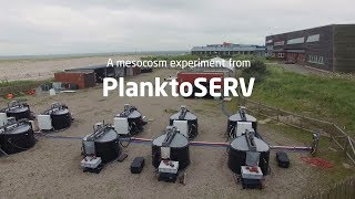 A mesocosm experiment from PlanktoSERV [upl. by Adrien]