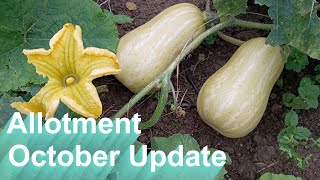 Allotment October 2024 Update – Boggy Plot [upl. by Noteloc]