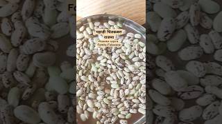 Pinto Beans used in Indian cooking sweetish flavour with smooth creamy texture rich in vitaproteans [upl. by Boland]