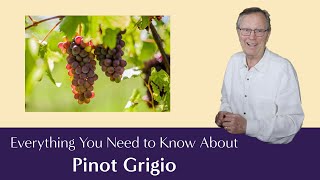 Pinot Grigio Everything You Need to Know  Including Suggested Food Pairings [upl. by Herrick]