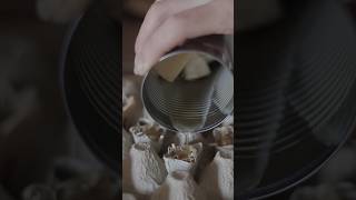 Making firelighters with natural materials 🔥 diy firelighters naturalmaterials cosy woodstove [upl. by Gun]