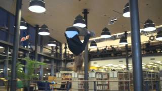 Linnaeus University – open your mind to new opportunities [upl. by Felske]