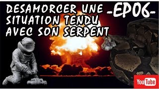 Ep06 Désamorcer une situation tendu avec son serpent [upl. by Dina]