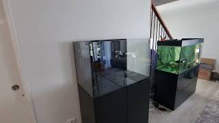 Waterbox Marine X 903 reef tank Update 1  Straight out of the box [upl. by Erodoeht]