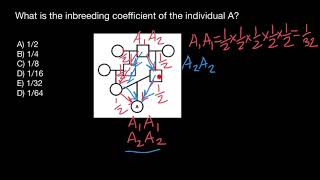 Inbreeding Coefficient explained [upl. by Salmon491]